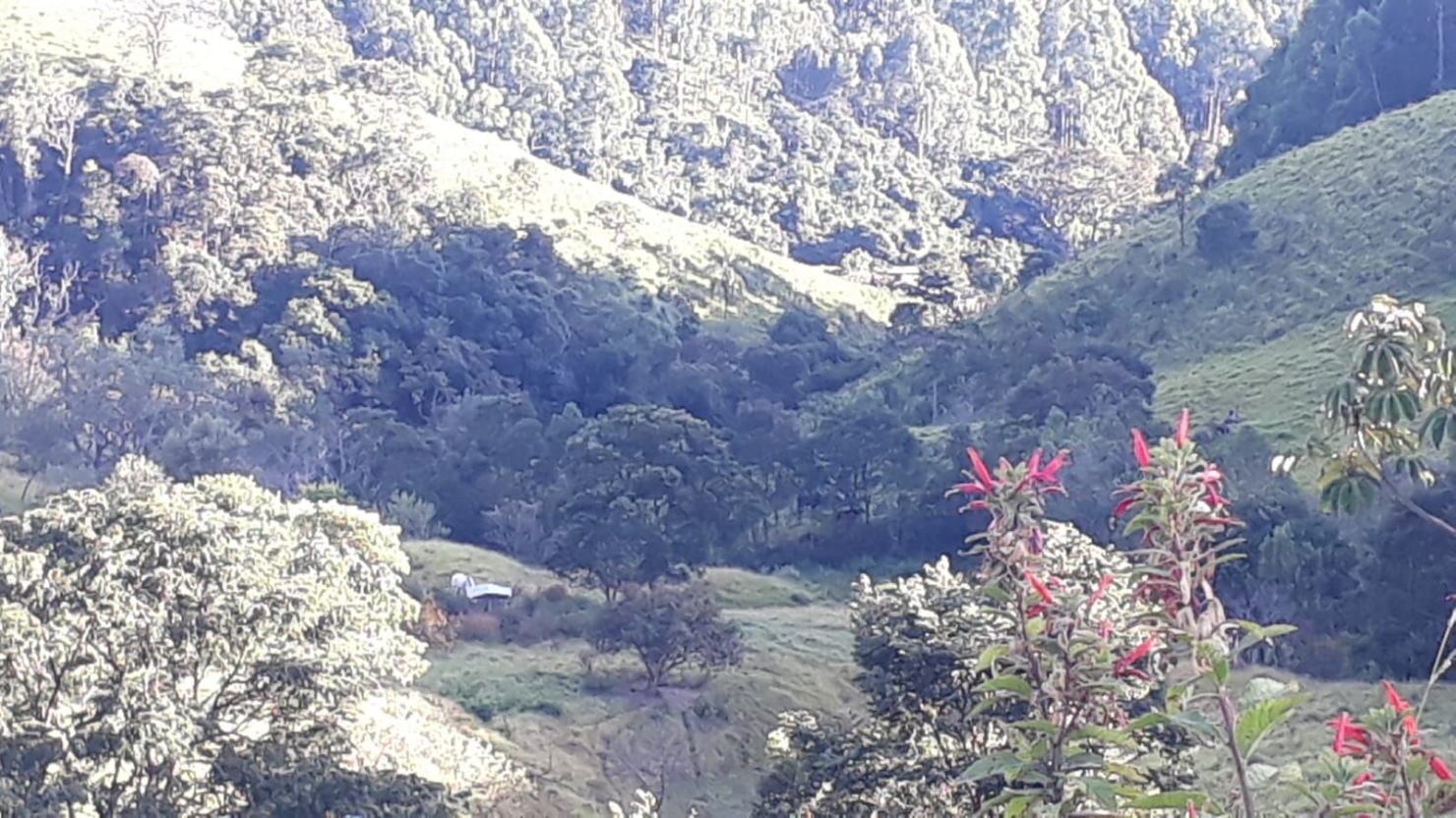 Fazenda, 87 hectares - Foto 4