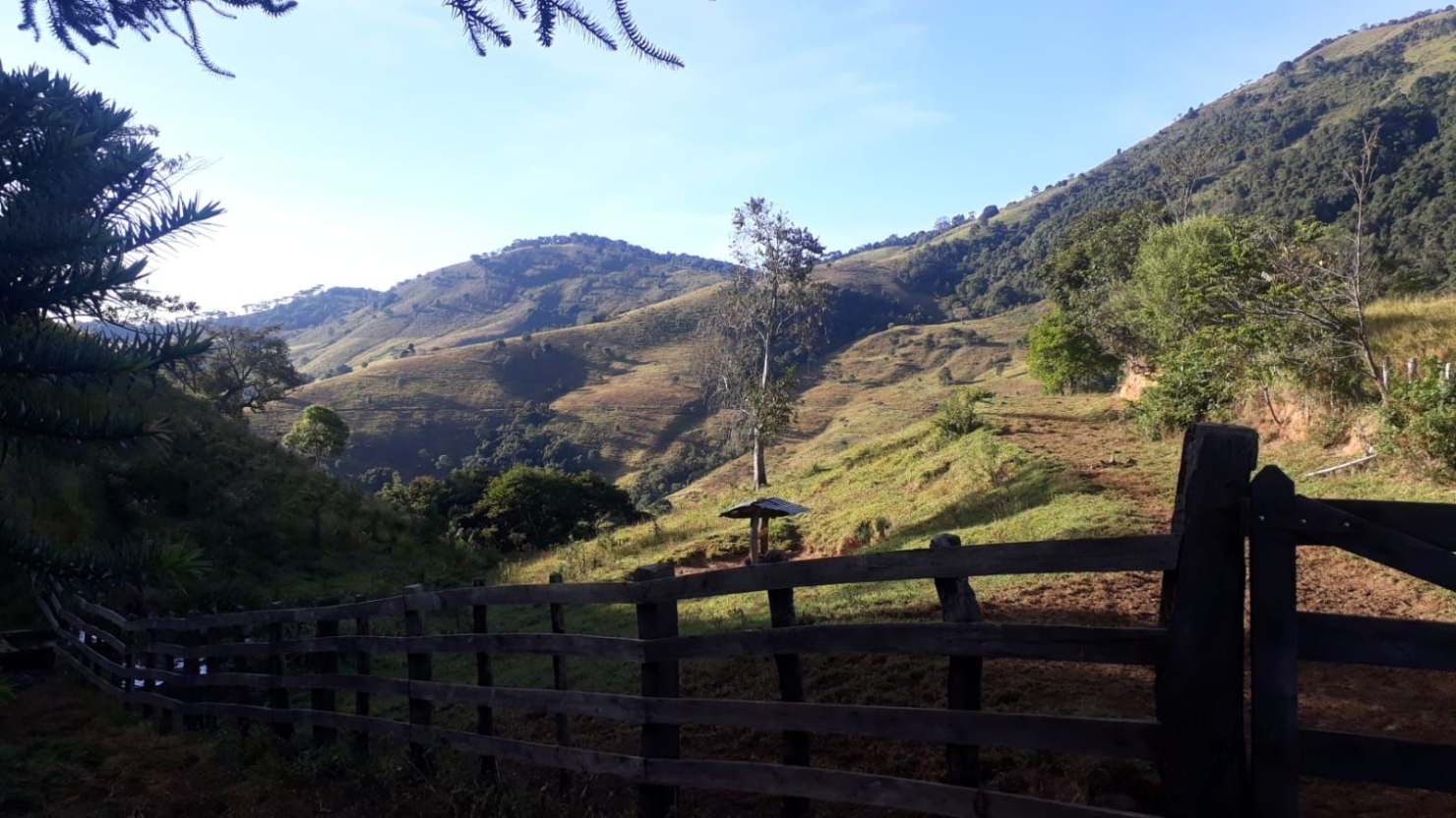 Fazenda, 87 hectares - Foto 5