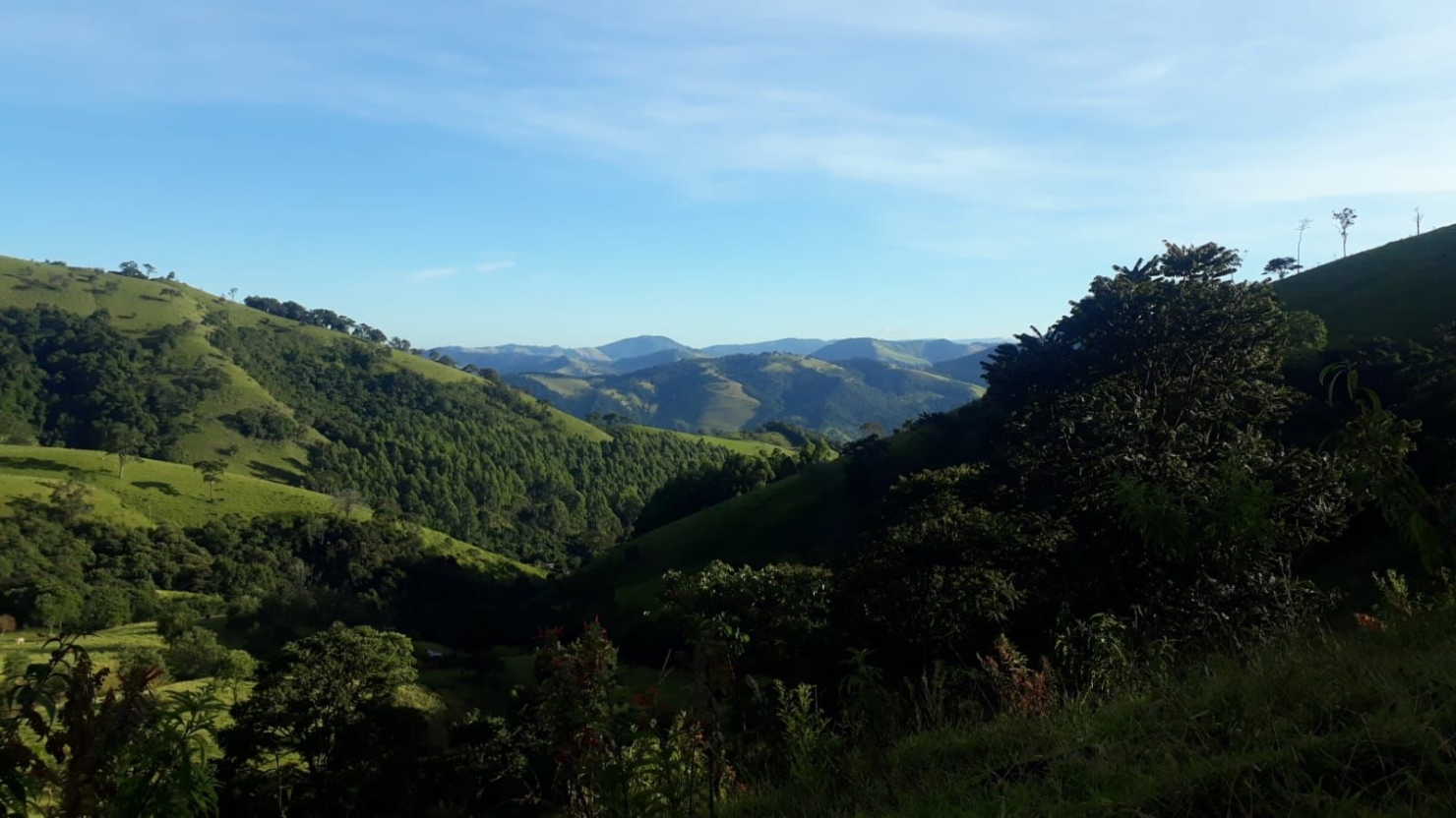 Fazenda, 87 hectares - Foto 6