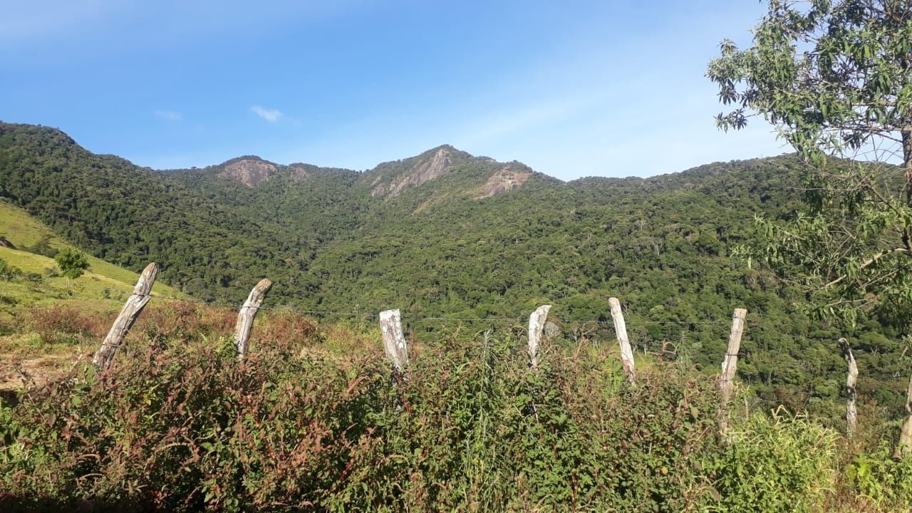 Fazenda, 87 hectares - Foto 9