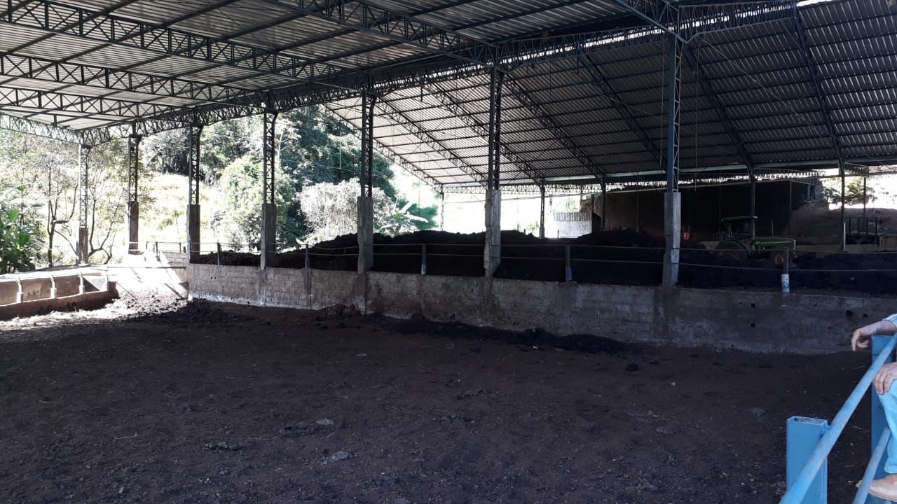 Fazenda, 87 hectares - Foto 11