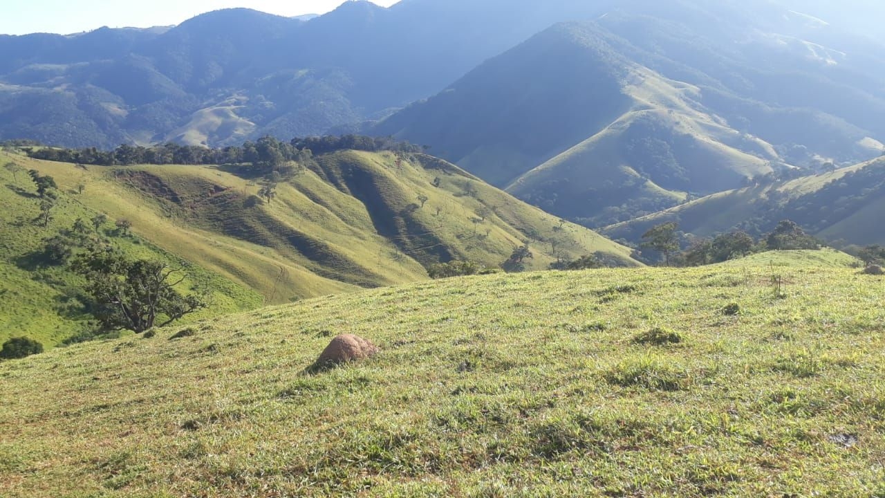 Fazenda, 87 hectares - Foto 13