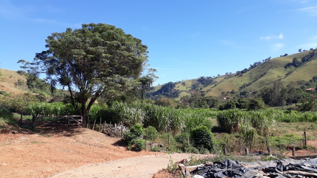 Fazenda, 87 hectares - Foto 15