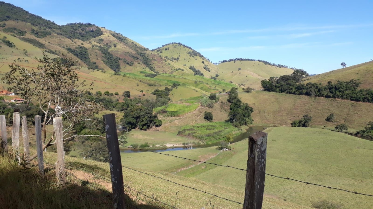 Fazenda, 87 hectares - Foto 19