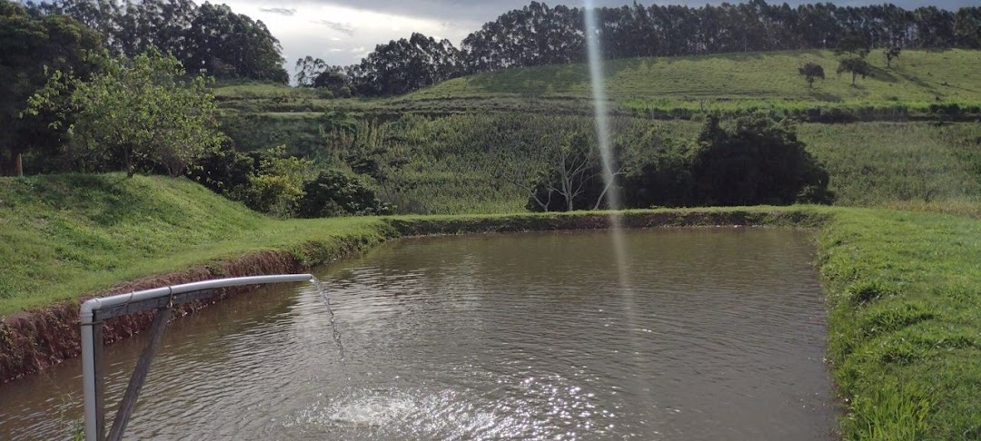 Sítio, 2 quartos, 150 m² - Foto 22