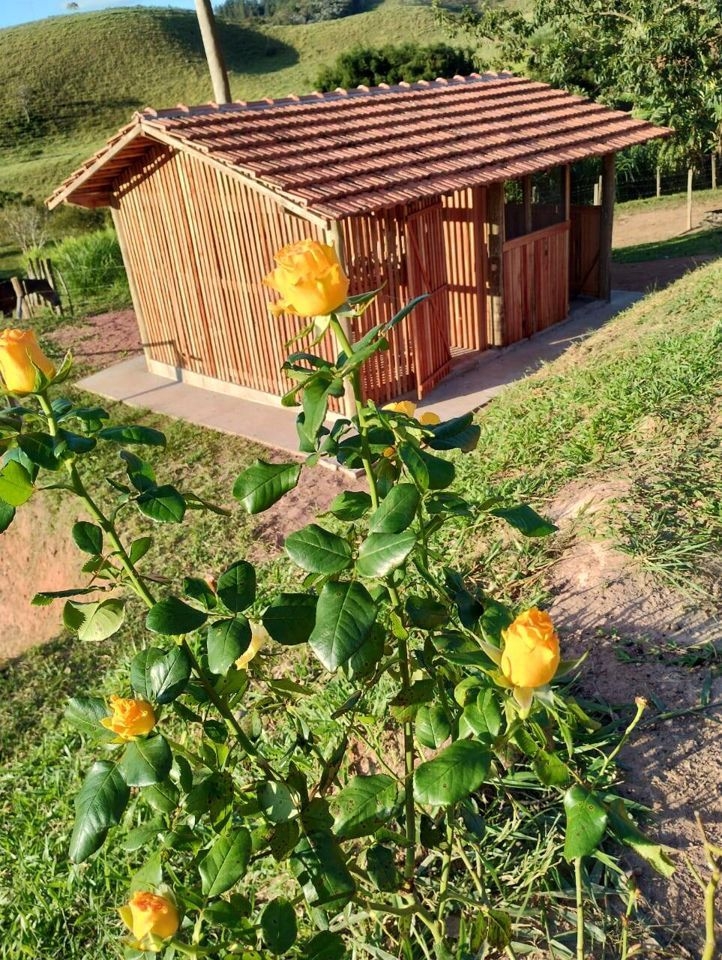 Sítio, 2 quartos, 150 m² - Foto 24