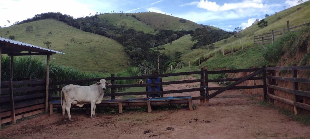 Sítio, 2 quartos, 150 m² - Foto 17