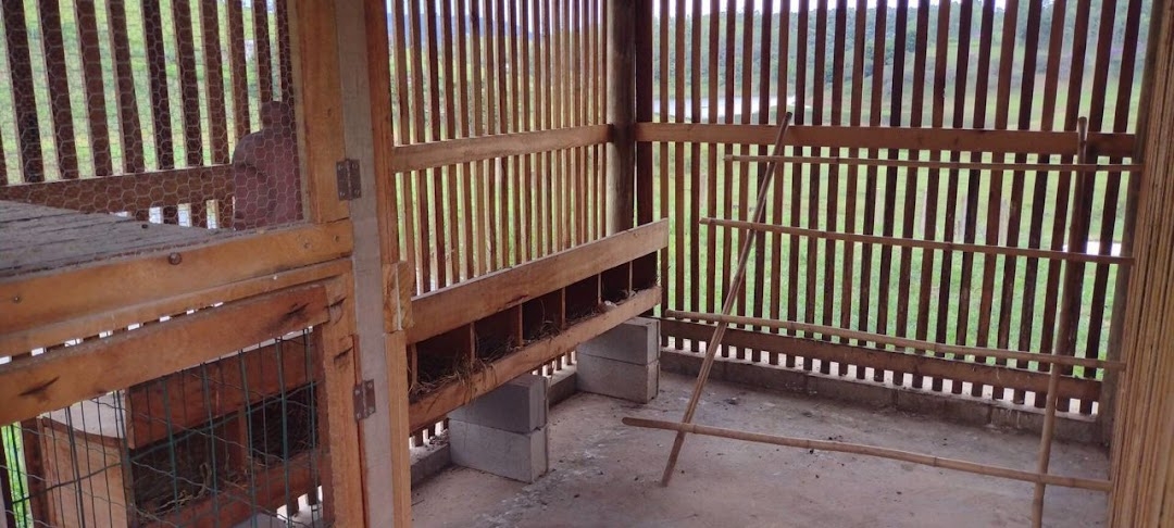 Sítio, 2 quartos, 150 m² - Foto 11