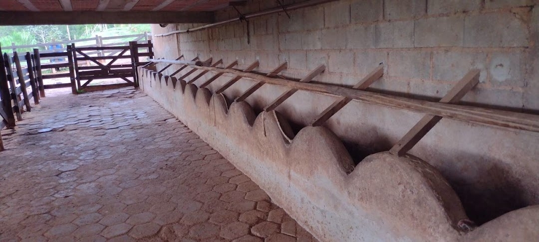 Sítio, 2 quartos, 150 m² - Foto 19