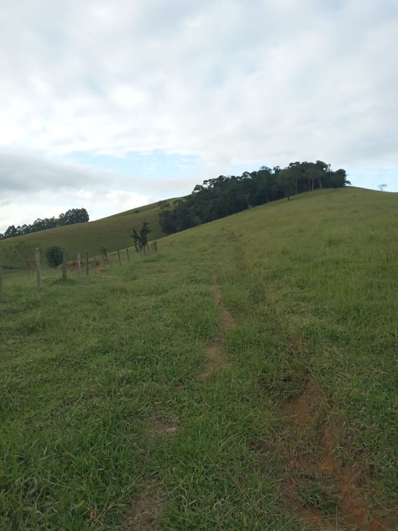 Sítio, 2 quartos, 200 m² - Foto 1