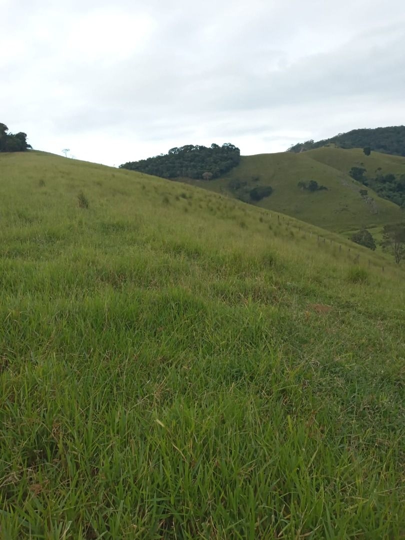 Sítio, 2 quartos, 200 m² - Foto 2