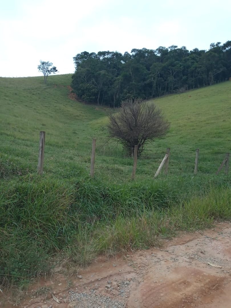 Sítio, 2 quartos, 200 m² - Foto 3