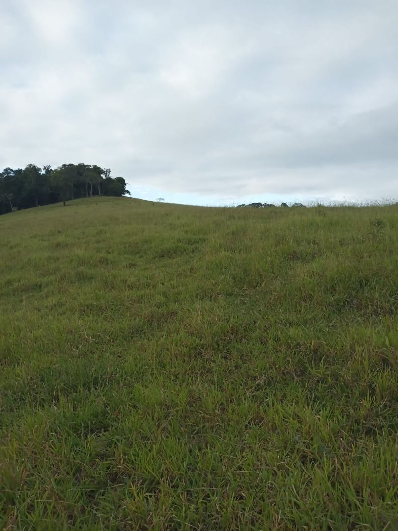 Sítio, 2 quartos, 200 m² - Foto 5