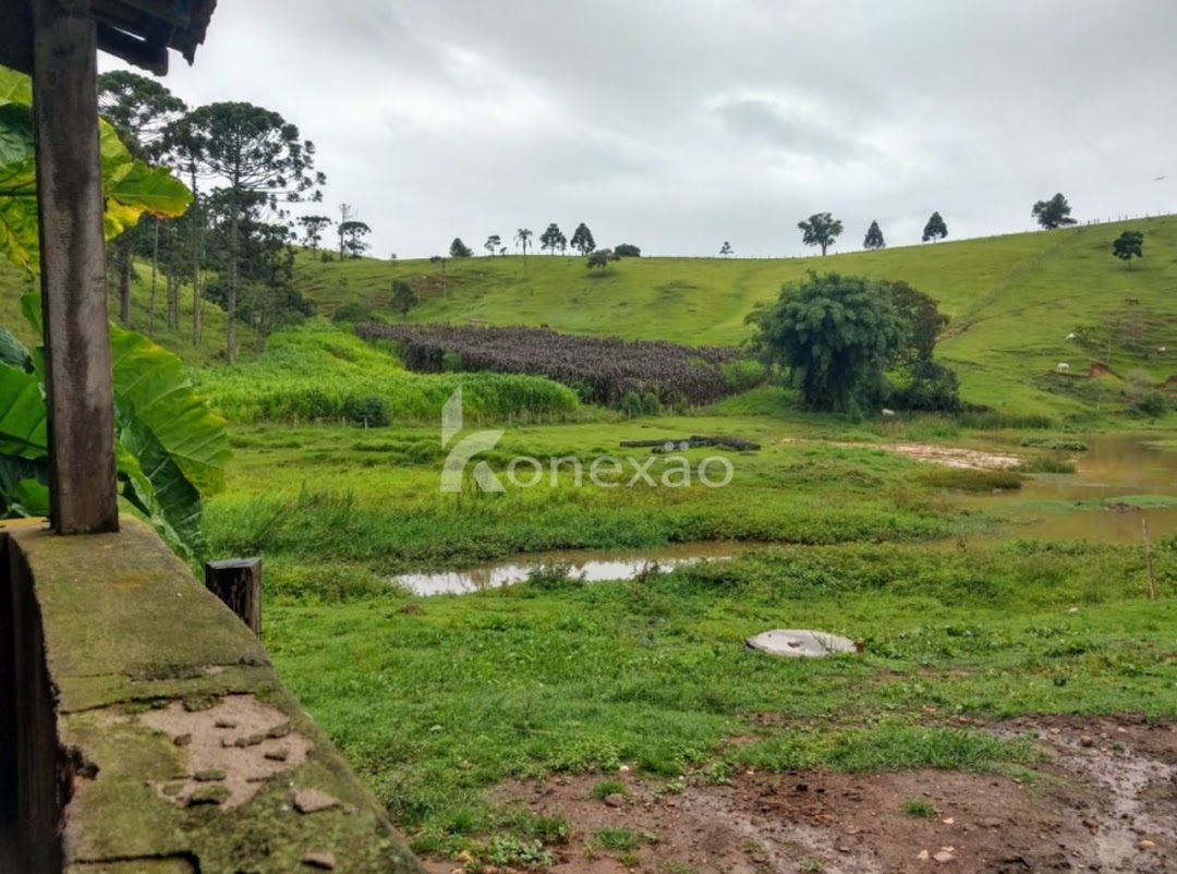 Fazenda, 150 m² - Foto 9