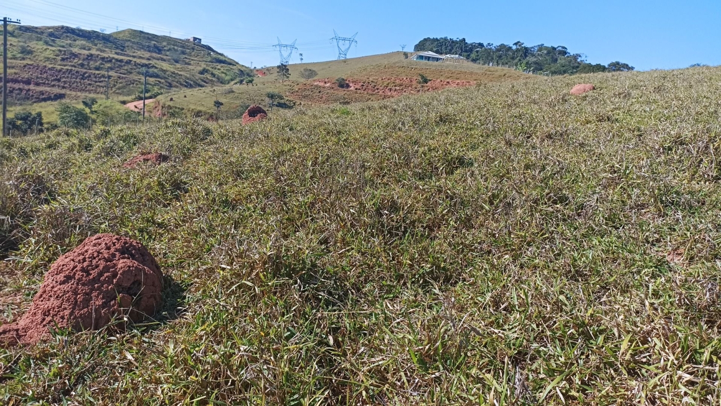 Sítio, 2 quartos, 200 m² - Foto 2