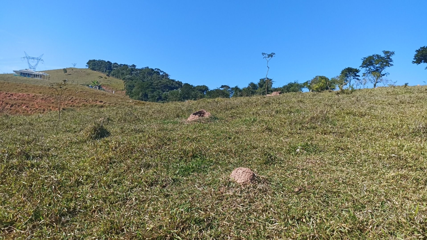 Sítio, 2 quartos, 200 m² - Foto 3