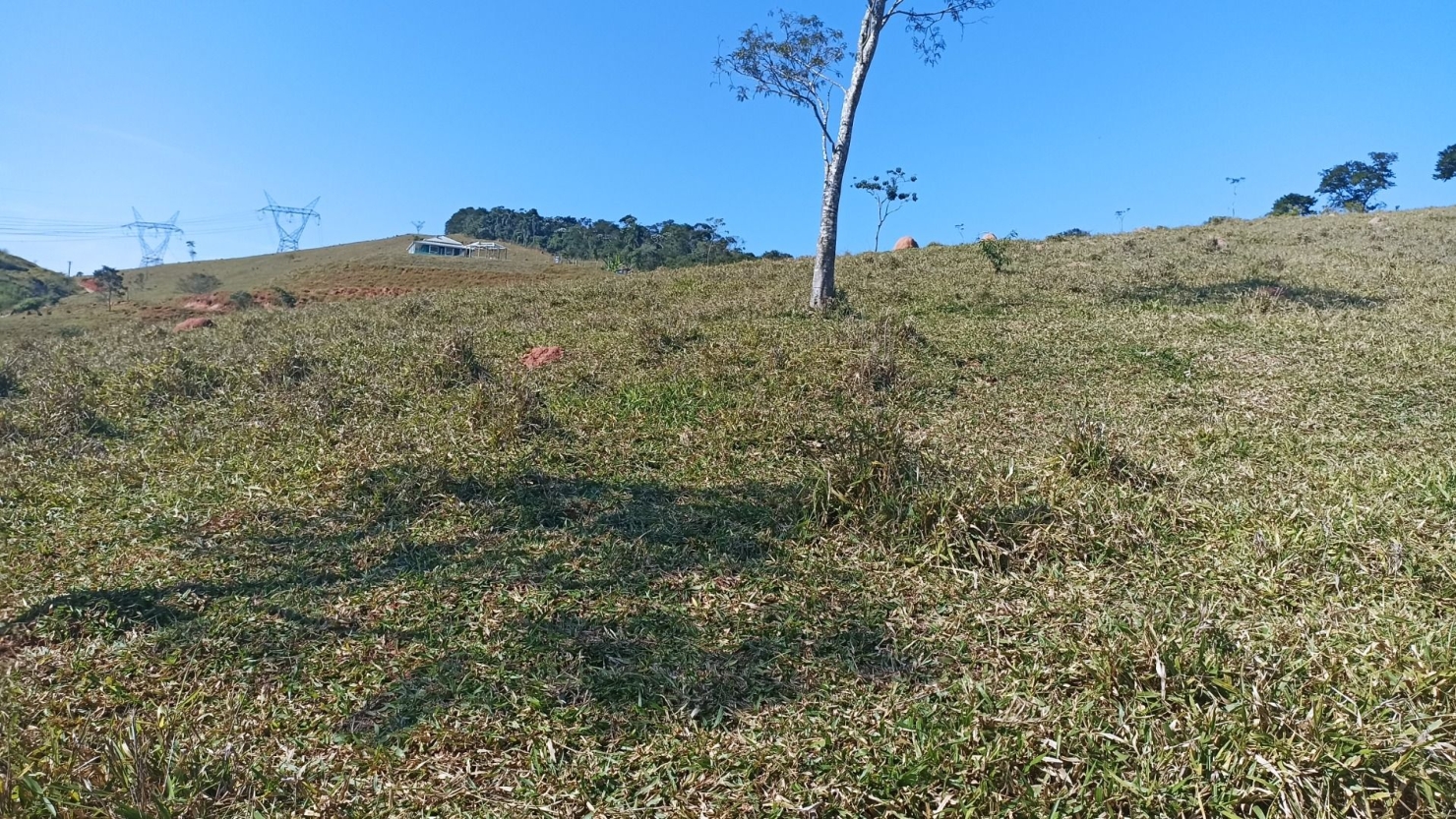 Sítio, 2 quartos, 200 m² - Foto 4