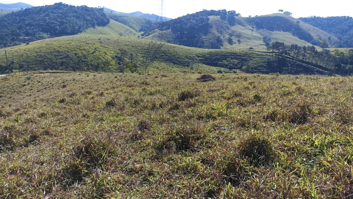 Sítio, 2 quartos, 200 m² - Foto 5