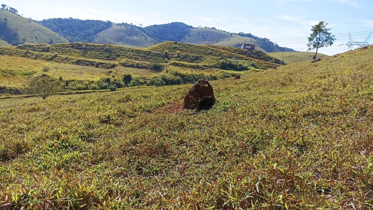 Sítio, 2 quartos, 200 m² - Foto 1