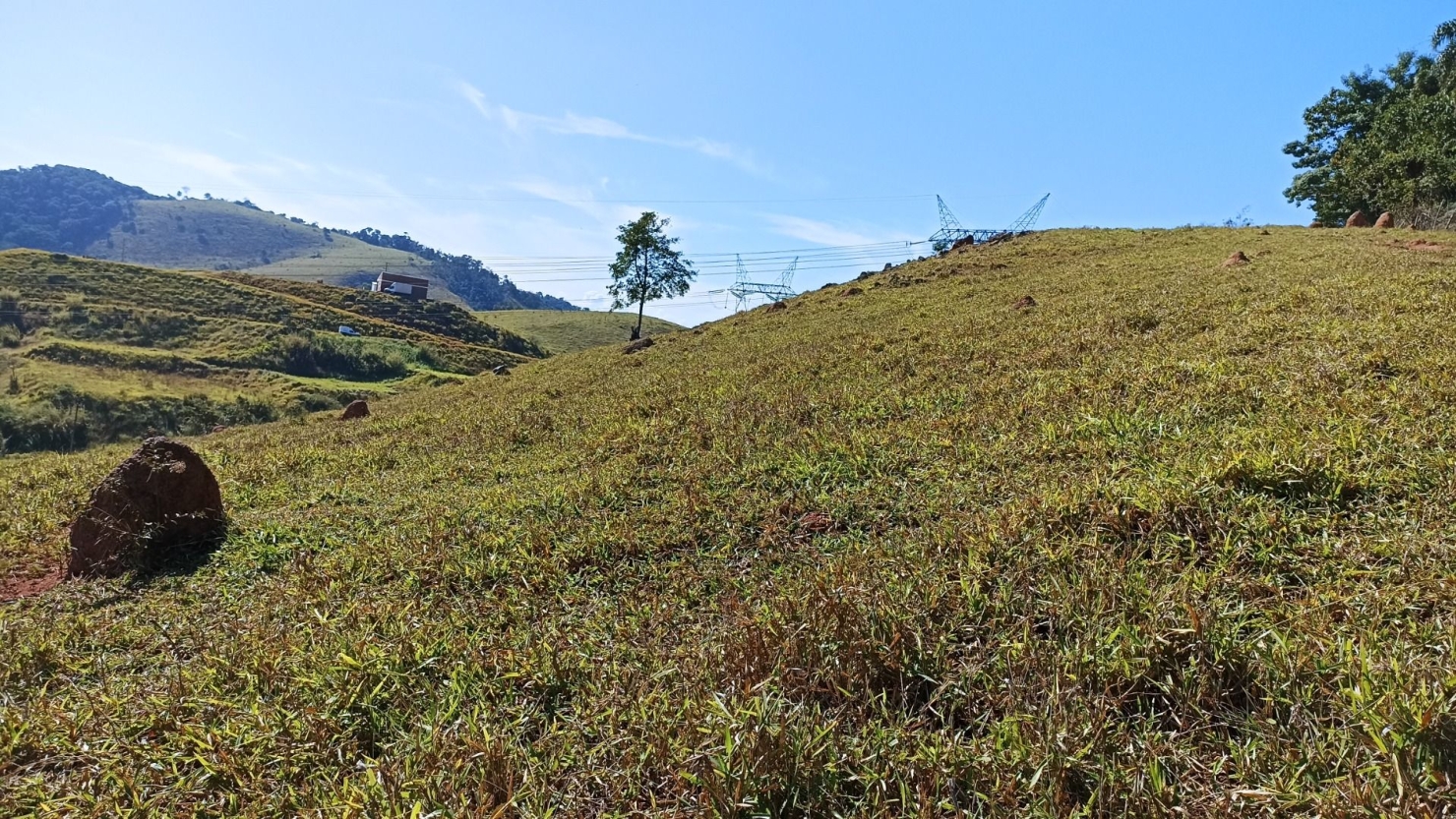 Sítio, 2 quartos, 200 m² - Foto 2