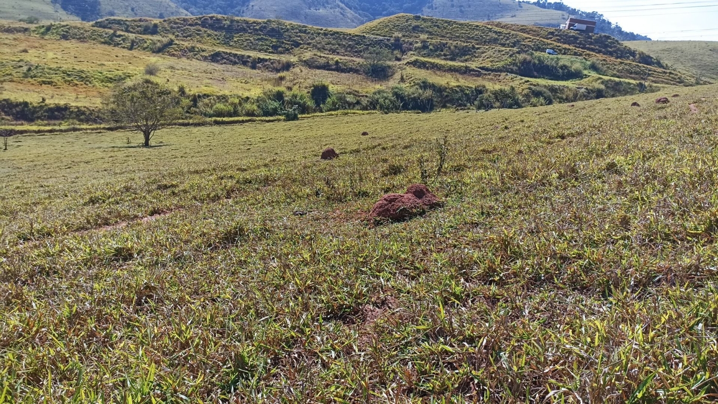 Sítio, 2 quartos, 200 m² - Foto 3