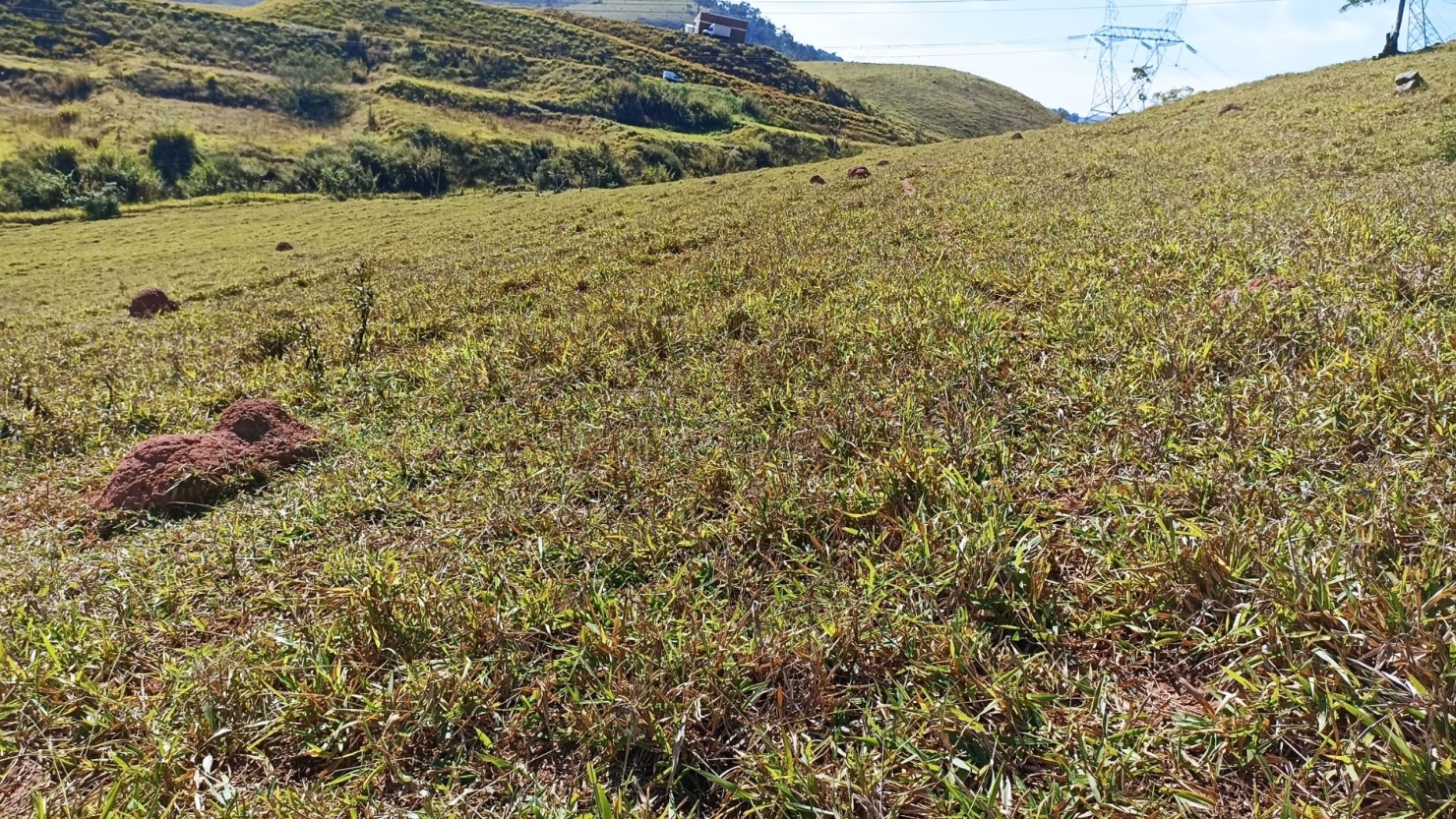 Sítio, 2 quartos, 200 m² - Foto 4