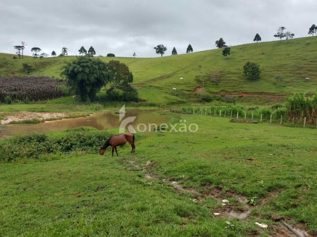 Fazenda, 150 m² - Foto 8