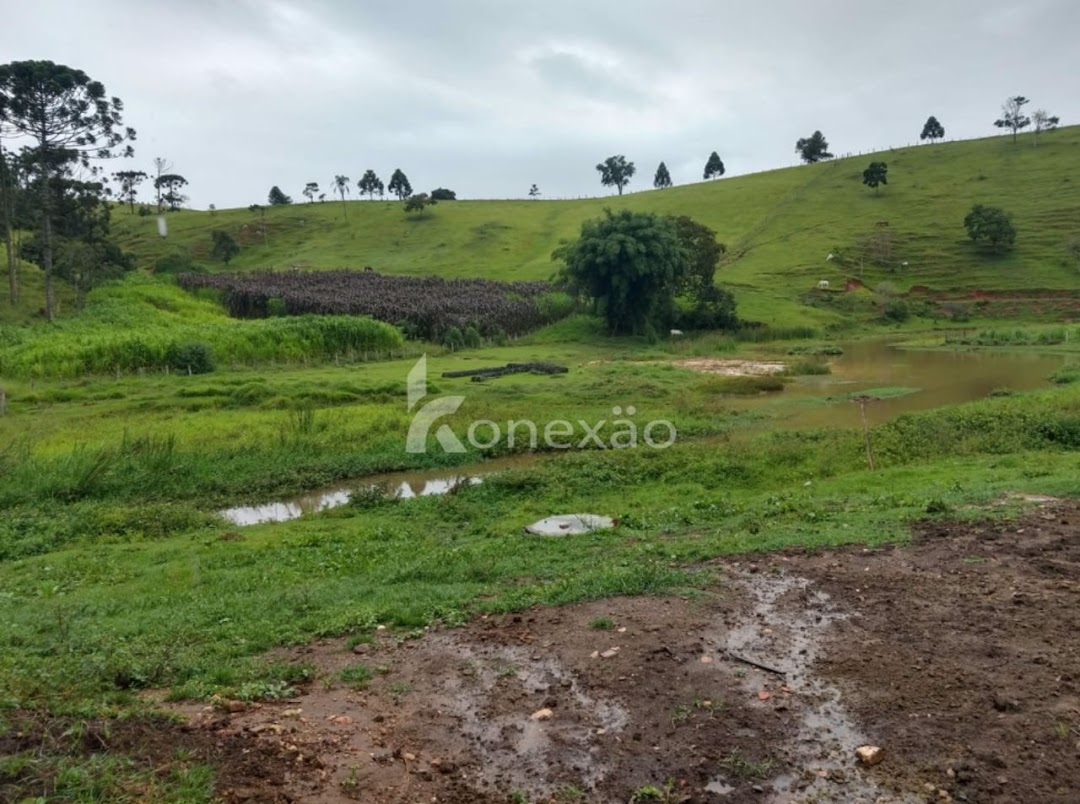 Fazenda, 150 m² - Foto 14