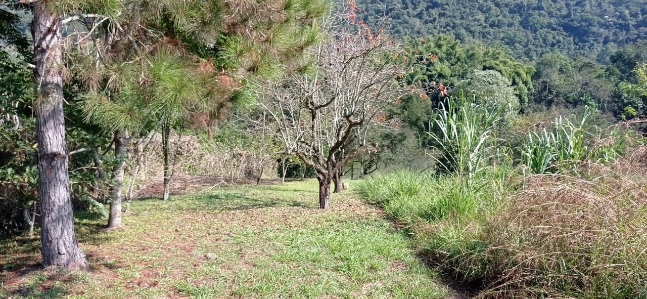 Chácara em Santa Branca/São Paulo — Ref 48PVCT — Imagem 19