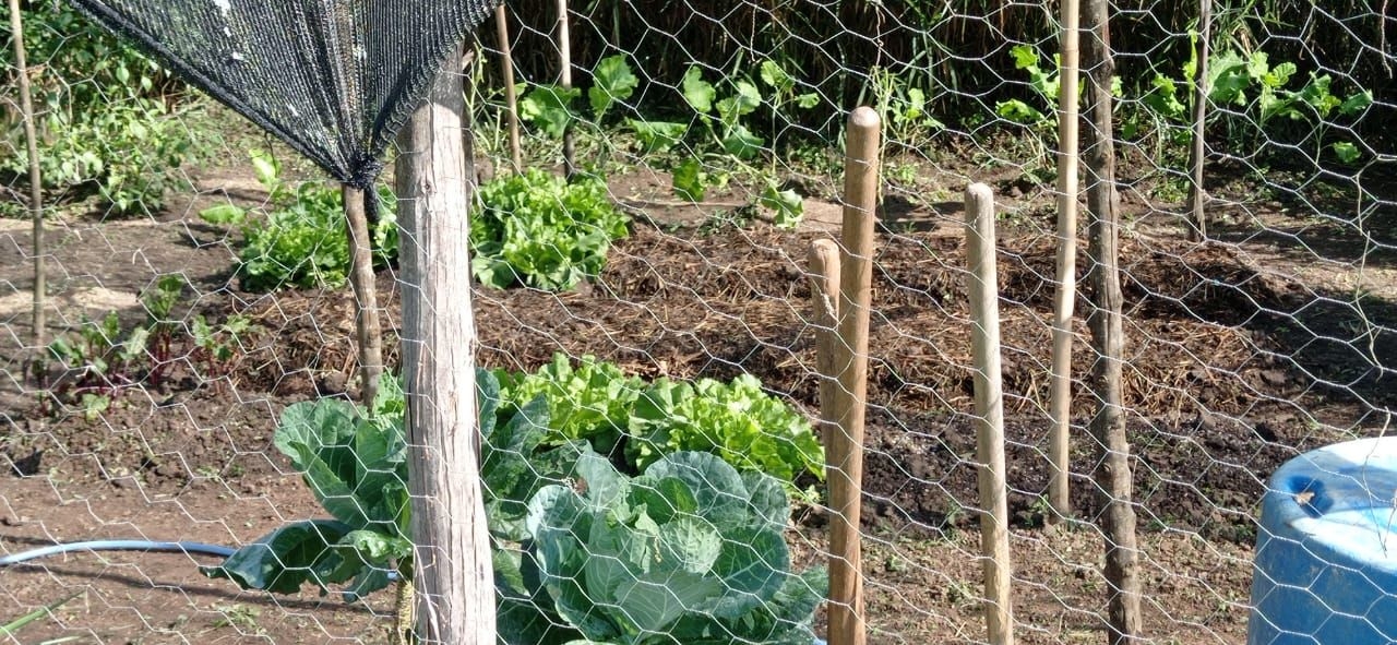 Chácara em Santa Branca/São Paulo — Ref 48PVCT — Imagem 22