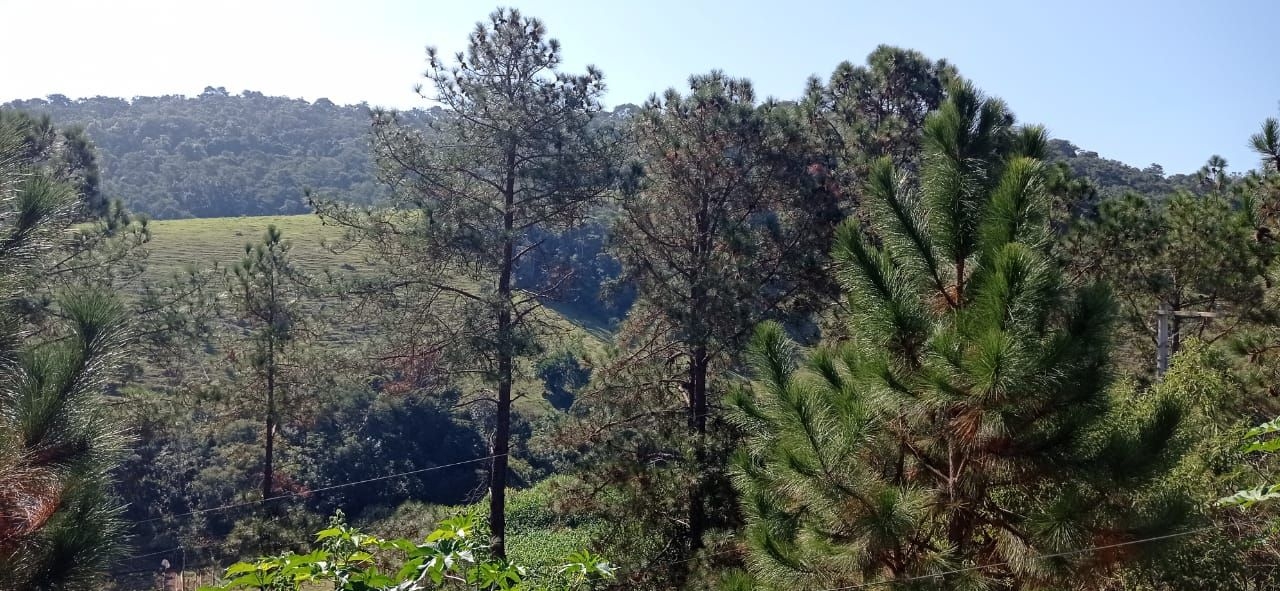 Sítio, 2 quartos, 60 m² - Foto 3