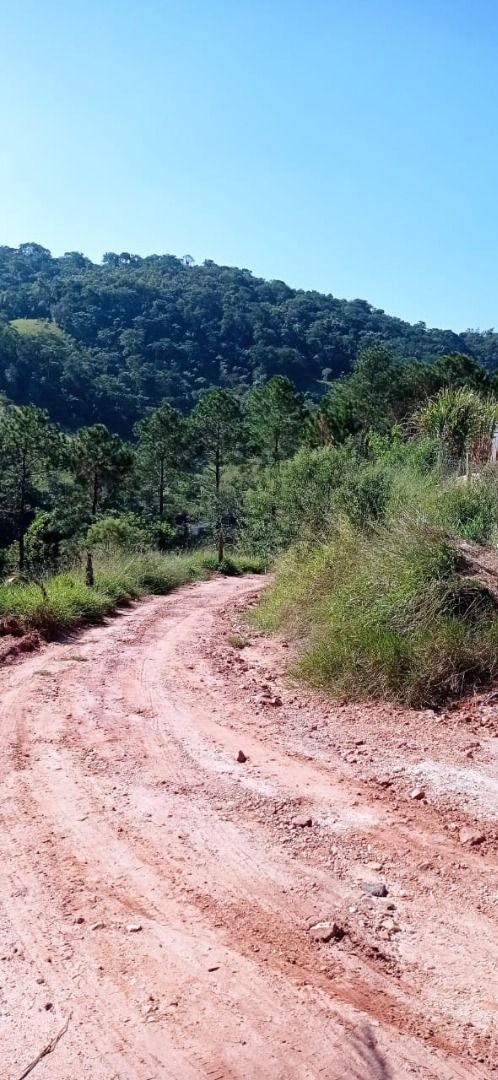 Sítio, 2 quartos, 60 m² - Foto 16