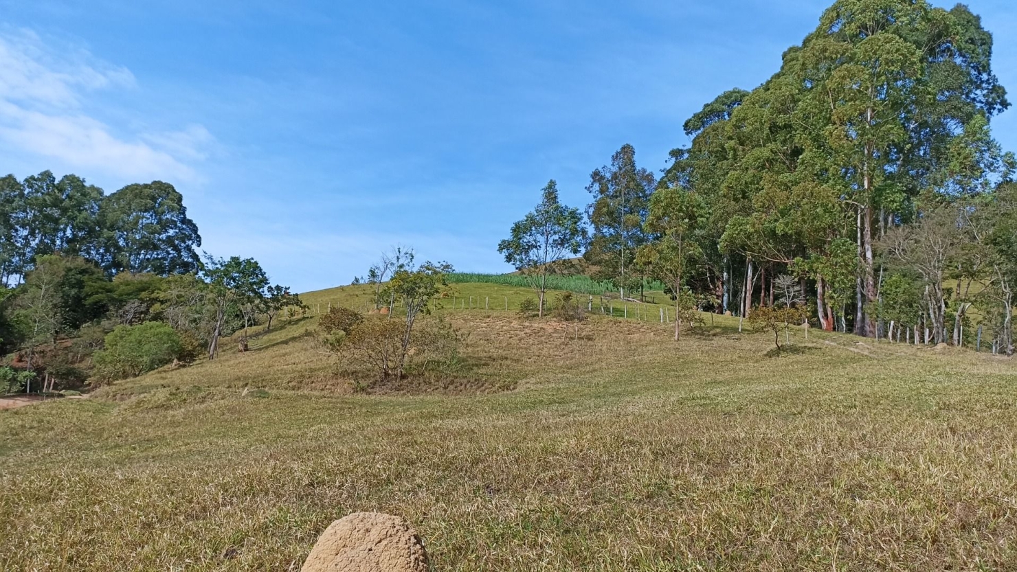 Sítio, 3 quartos, 200 m² - Foto 4