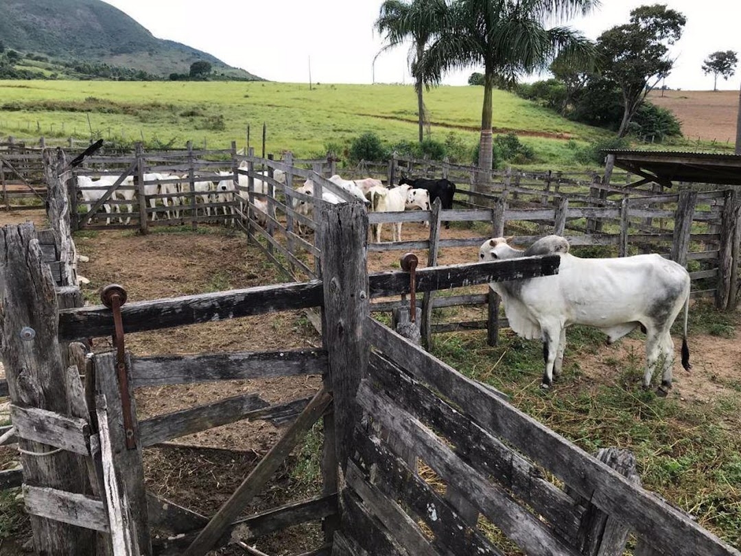 Fazenda em Santa Rita do Sapucaí/Minas Gerais — Ref KVX23Y — Imagem 10