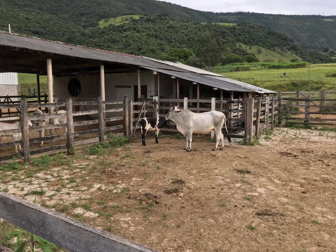Fazenda em Santa Rita do Sapucaí/Minas Gerais — Ref KVX23Y — Imagem 7