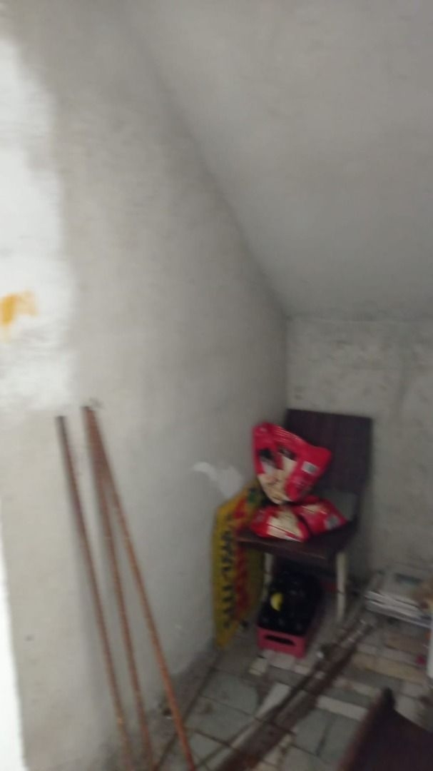 Casa, 12 quartos, 330 m² - Foto 19