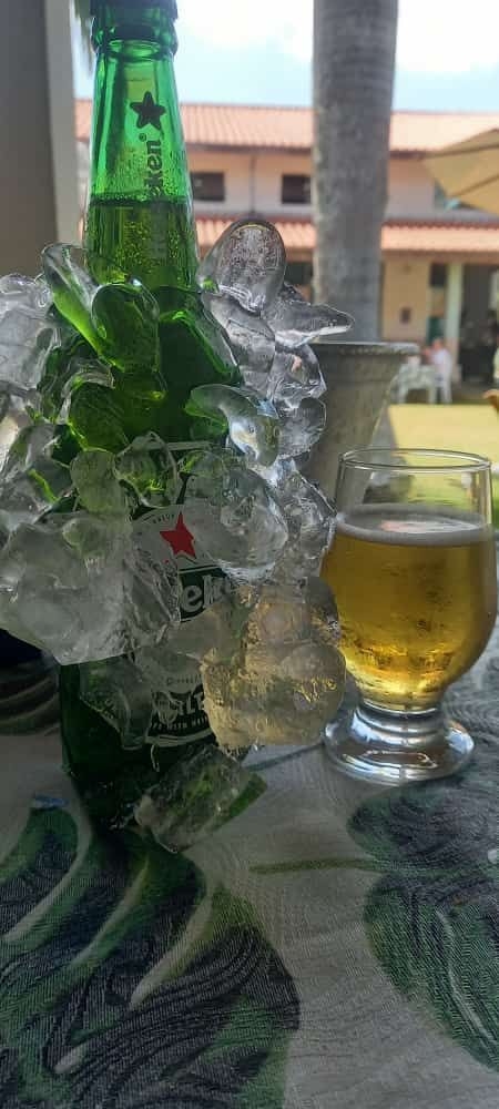 Chácara, 3 quartos, 410 m² - Foto 5