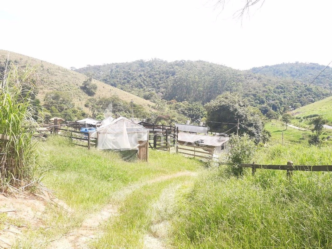 Sítio, 1 quarto, 500 m² - Foto 5