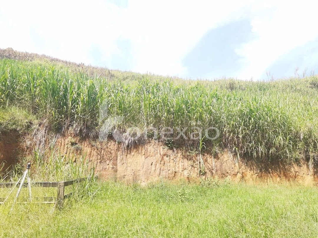 Sítio, 1 quarto, 500 m² - Foto 4