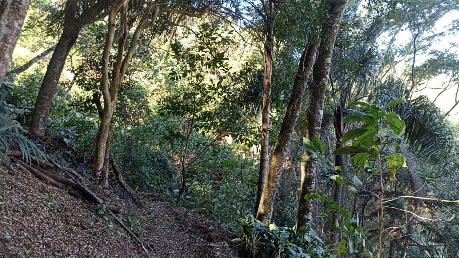 Sítio, 3 quartos, 200 m² - Foto 5