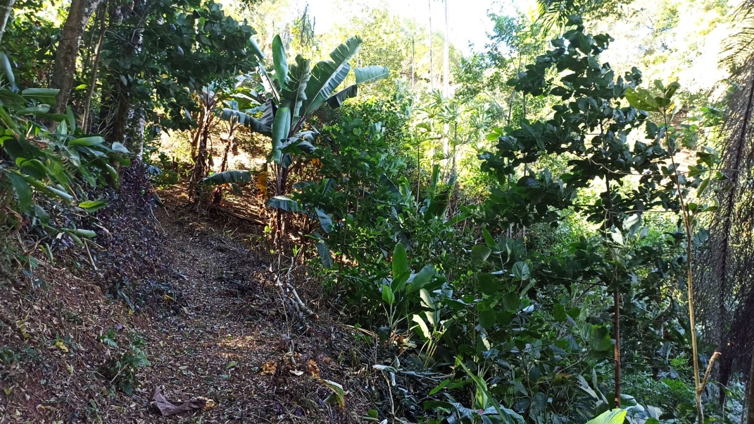 Chácara, 3 quartos, 200 m² - Foto 6