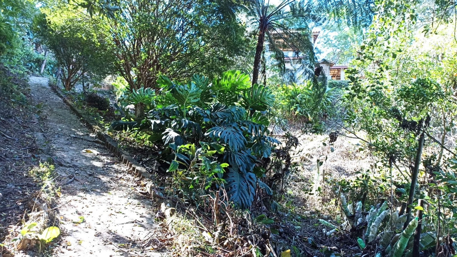 Chácara, 3 quartos, 200 m² - Foto 7