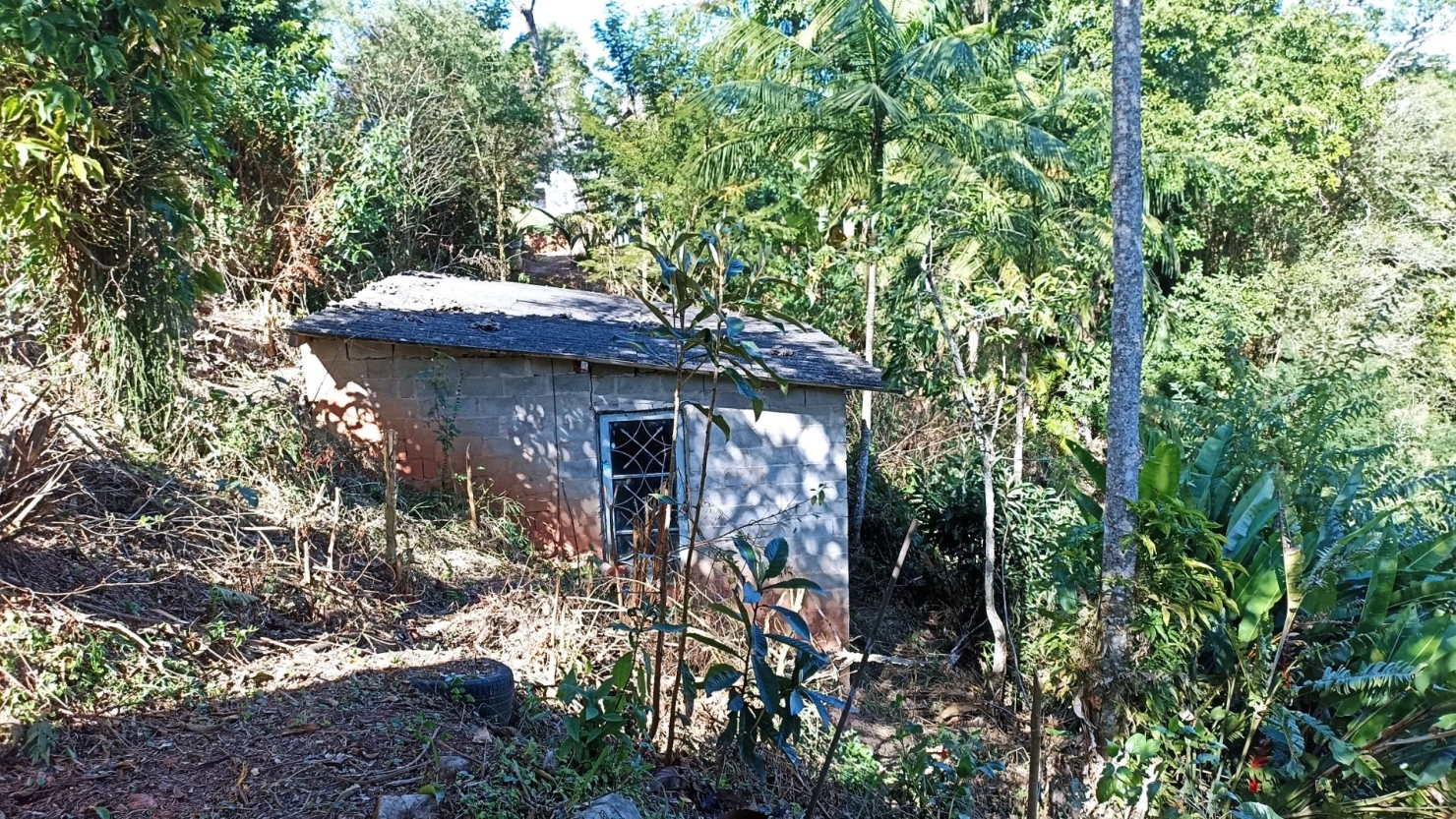 Chácara, 3 quartos, 200 m² - Foto 13