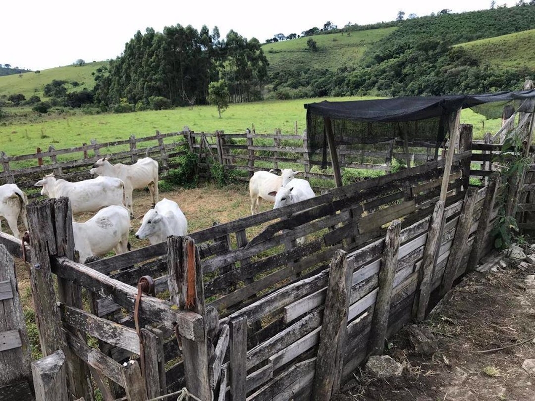 Fazenda em Santa Rita do Sapucaí/Minas Gerais — Ref KVX23Y — Imagem 18