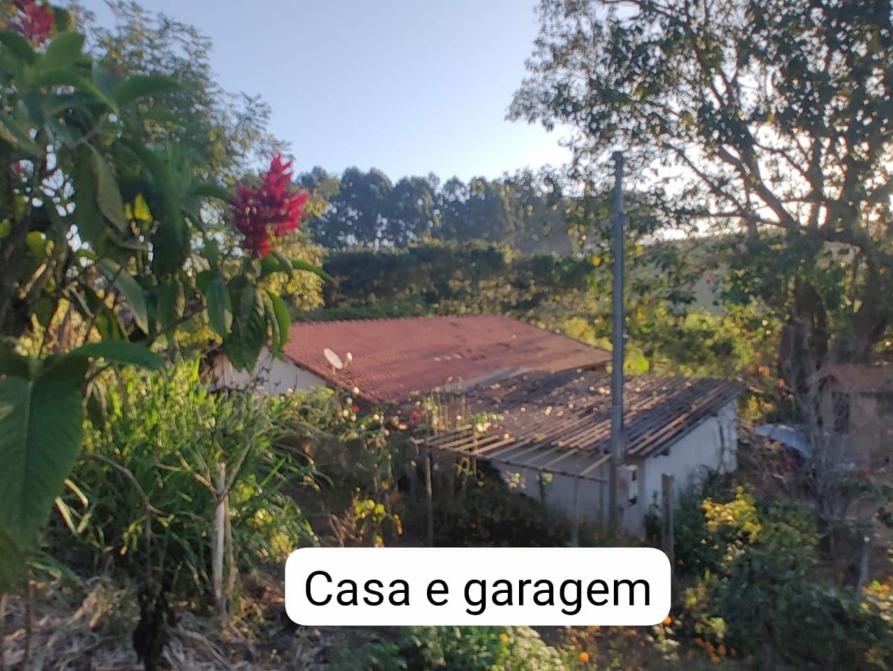 Sítio, 3 quartos, 300 m² - Foto 3