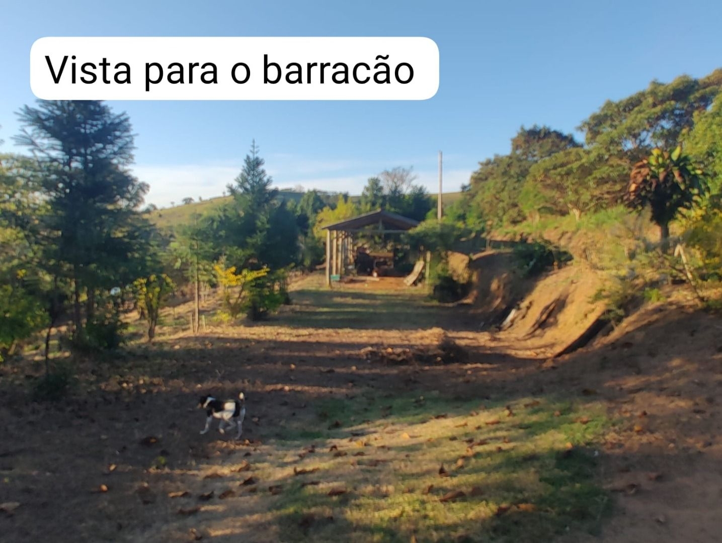 Sítio, 3 quartos, 300 m² - Foto 2