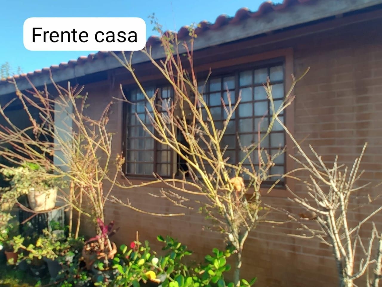 Sítio, 3 quartos, 300 m² - Foto 9