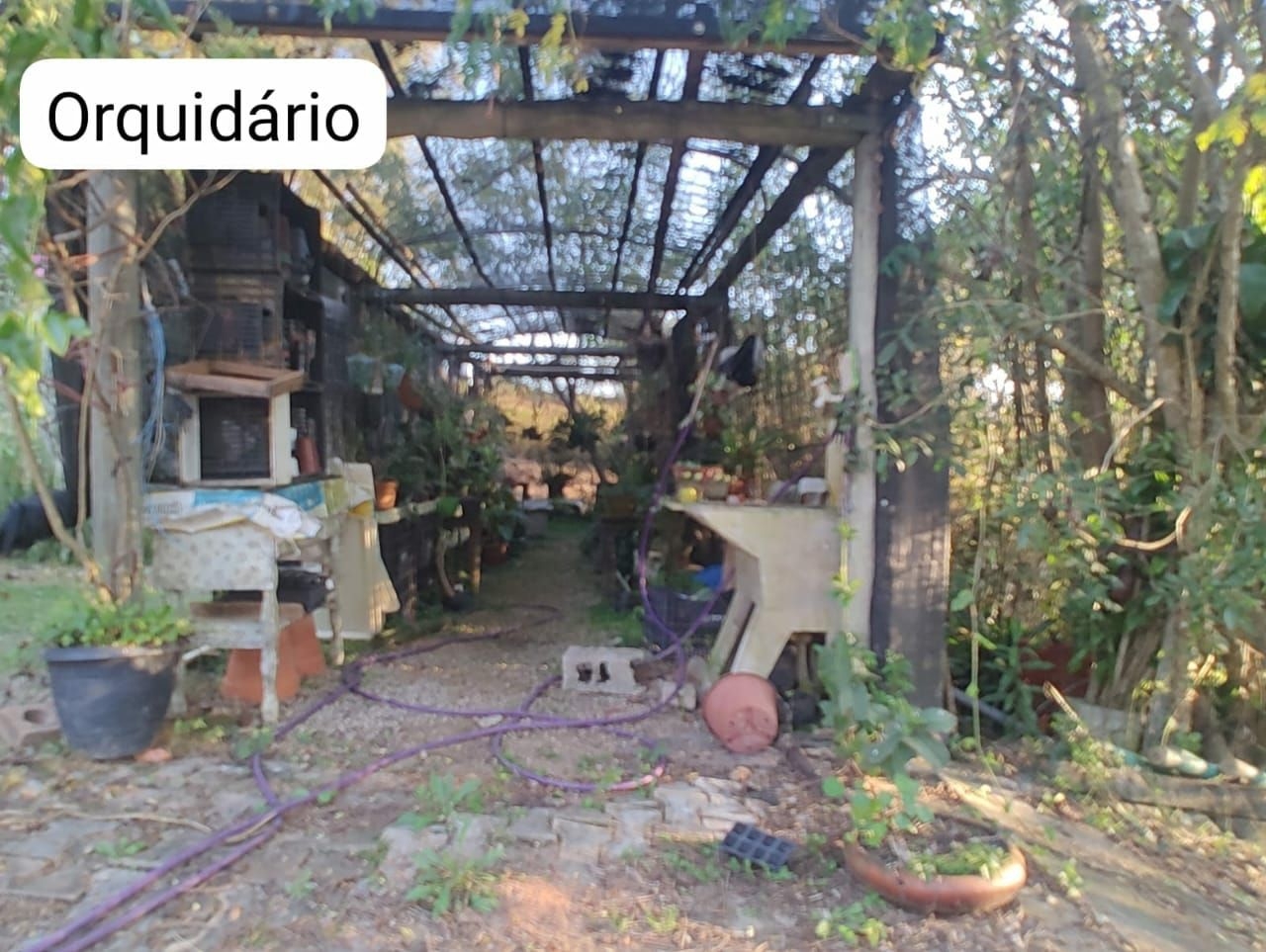 Sítio, 3 quartos, 300 m² - Foto 10