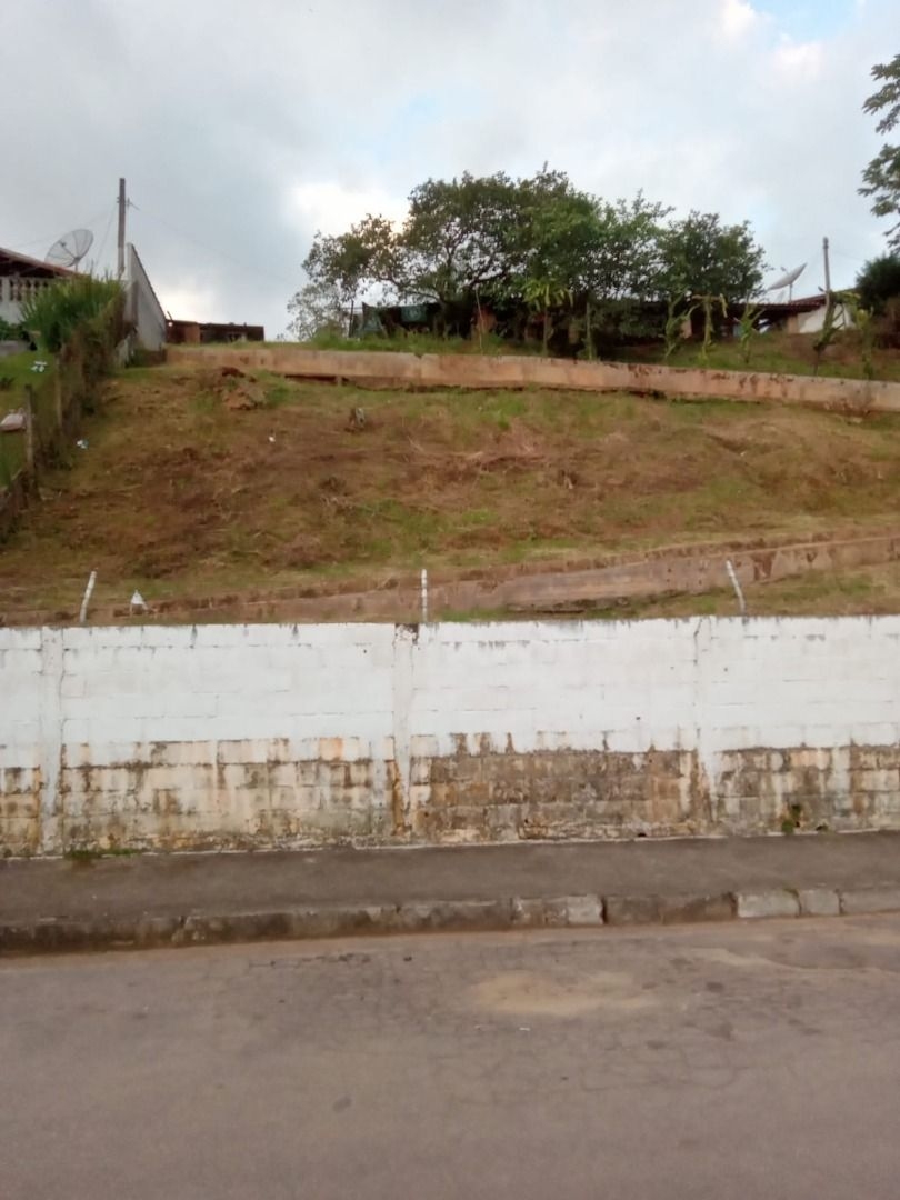 Sítio, 3 quartos, 300 m² - Foto 12