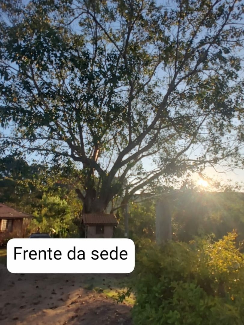 Sítio, 3 quartos, 300 m² - Foto 14